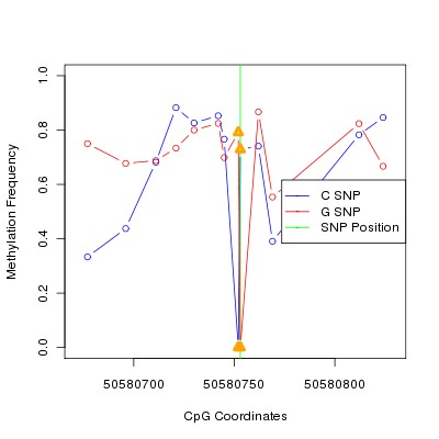 Allele Specific Methylation Frequency Diagram for chr12 50580753 SNP.