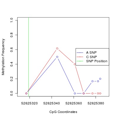 Allele Specific Methylation Frequency Diagram for chr12 52625319 SNP.