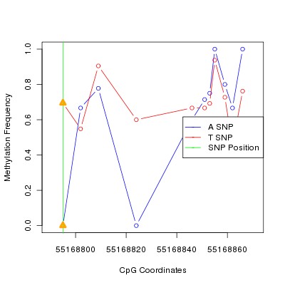 Allele Specific Methylation Frequency Diagram for chr12 55168795 SNP.