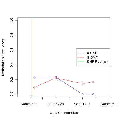 Allele Specific Methylation Frequency Diagram for chr12 56301761 SNP.