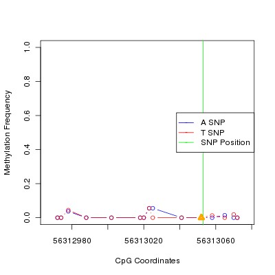 Allele Specific Methylation Frequency Diagram for chr12 56313053 SNP.