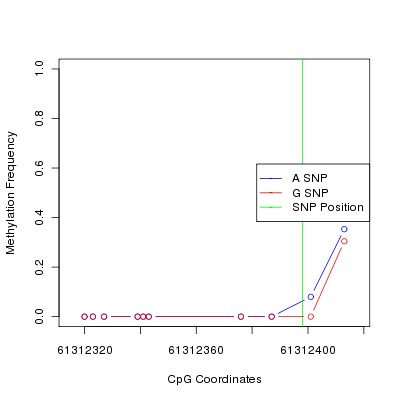 Allele Specific Methylation Frequency Diagram for chr12 61312398 SNP.