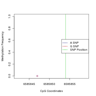 Allele Specific Methylation Frequency Diagram for chr12 6585854 SNP.