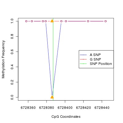 Allele Specific Methylation Frequency Diagram for chr12 6728387 SNP.