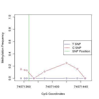 Allele Specific Methylation Frequency Diagram for chr12 74071367 SNP.