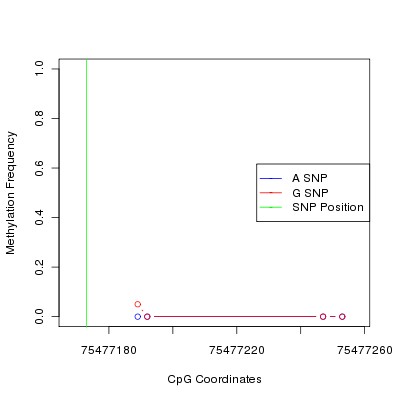 Allele Specific Methylation Frequency Diagram for chr12 75477173 SNP.