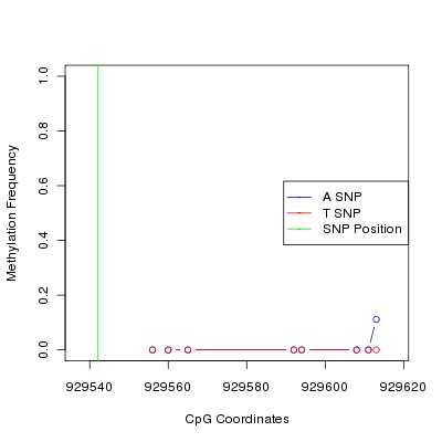 Allele Specific Methylation Frequency Diagram for chr12 929542 SNP.