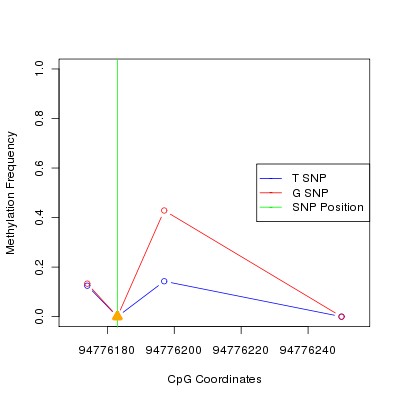 Allele Specific Methylation Frequency Diagram for chr12 94776183 SNP.