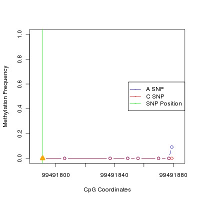 Allele Specific Methylation Frequency Diagram for chr12 99491791 SNP.