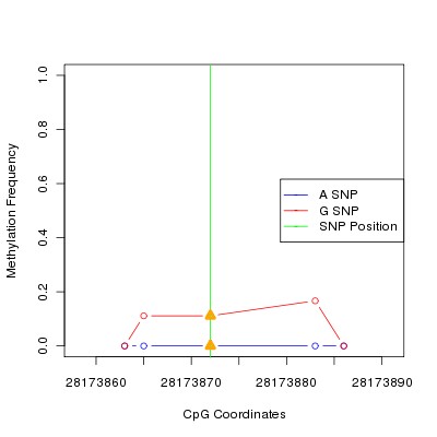 Allele Specific Methylation Frequency Diagram for chr17 28173872 SNP.