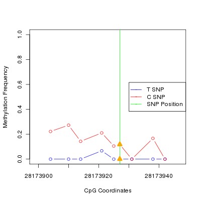 Allele Specific Methylation Frequency Diagram for chr17 28173927 SNP.