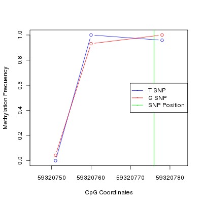 Allele Specific Methylation Frequency Diagram for chr19 59320776 SNP.