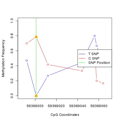 Allele Specific Methylation Frequency Diagram for chr19 59369001 SNP.