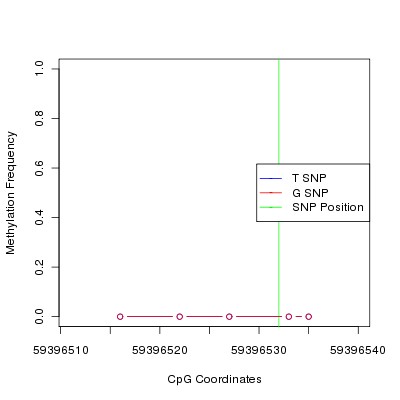 Allele Specific Methylation Frequency Diagram for chr19 59396532 SNP.