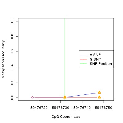 Allele Specific Methylation Frequency Diagram for chr19 59476732 SNP.