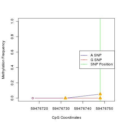 Allele Specific Methylation Frequency Diagram for chr19 59476748 SNP.