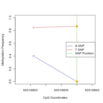 Allele Specific Methylation Frequency Diagram for chr19 60019835 SNP.