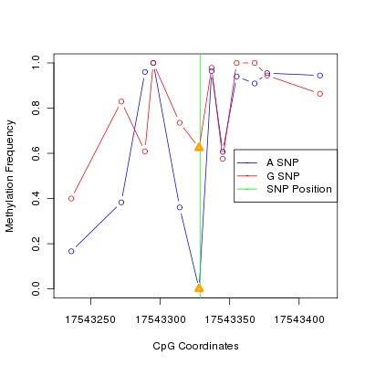 Allele Specific Methylation Frequency Diagram for chr20 17543329 SNP.