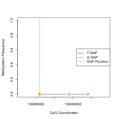 Allele Specific Methylation Frequency Diagram for chr20 19686581 SNP.