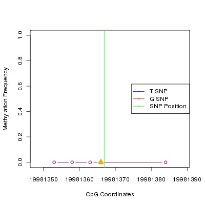 Allele Specific Methylation Frequency Diagram for chr20 19981367 SNP.