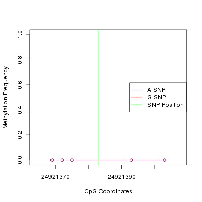 Allele Specific Methylation Frequency Diagram for chr20 24921383 SNP.