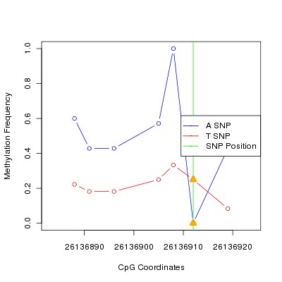 Allele Specific Methylation Frequency Diagram for chr20 26136912 SNP.