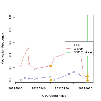 Allele Specific Methylation Frequency Diagram for chr20 28226024 SNP.