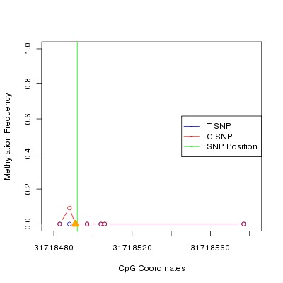 Allele Specific Methylation Frequency Diagram for chr20 31718492 SNP.