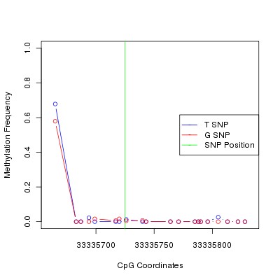 Allele Specific Methylation Frequency Diagram for chr20 33335725 SNP.