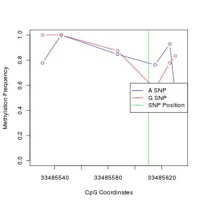 Allele Specific Methylation Frequency Diagram for chr20 33485610 SNP.