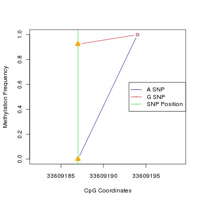 Allele Specific Methylation Frequency Diagram for chr20 33609187 SNP.