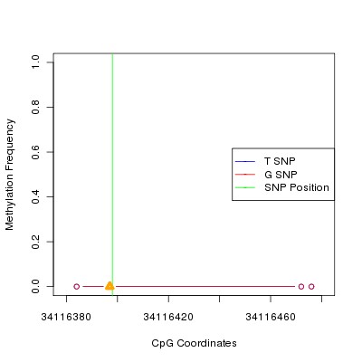Allele Specific Methylation Frequency Diagram for chr20 34116398 SNP.