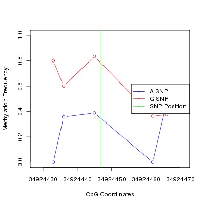 Allele Specific Methylation Frequency Diagram for chr20 34924447 SNP.