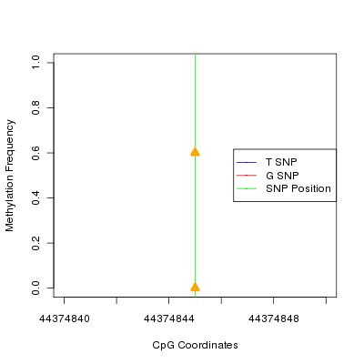 Allele Specific Methylation Frequency Diagram for chr20 44374845 SNP.