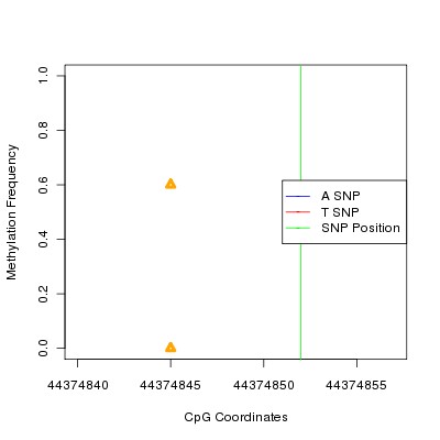 Allele Specific Methylation Frequency Diagram for chr20 44374852 SNP.