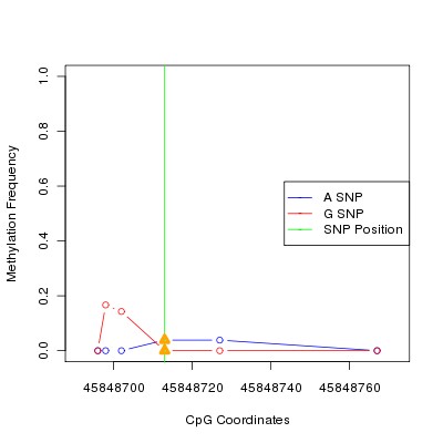 Allele Specific Methylation Frequency Diagram for chr20 45848713 SNP.