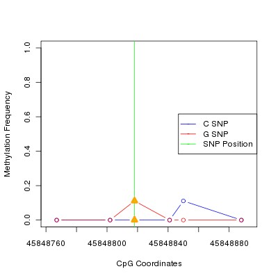 Allele Specific Methylation Frequency Diagram for chr20 45848818 SNP.