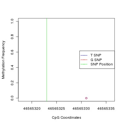 Allele Specific Methylation Frequency Diagram for chr20 46565323 SNP.