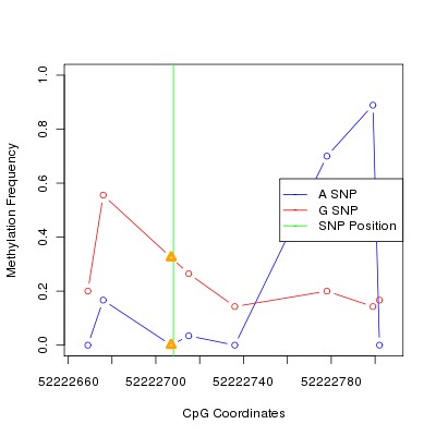 Allele Specific Methylation Frequency Diagram for chr20 52222708 SNP.