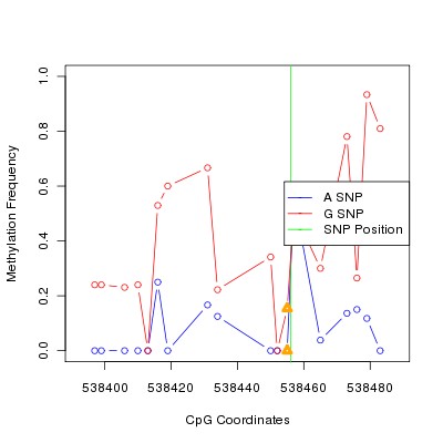 Allele Specific Methylation Frequency Diagram for chr20 538456 SNP.