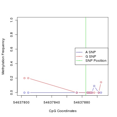 Allele Specific Methylation Frequency Diagram for chr20 54637885 SNP.