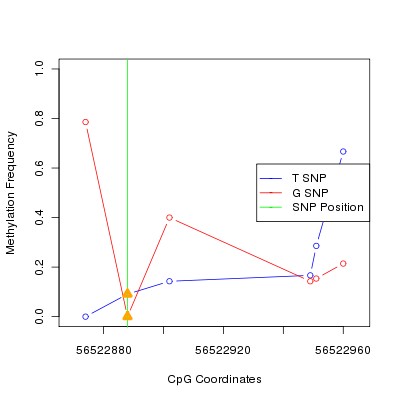 Allele Specific Methylation Frequency Diagram for chr20 56522888 SNP.