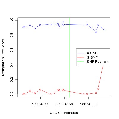 Allele Specific Methylation Frequency Diagram for chr20 56864560 SNP.