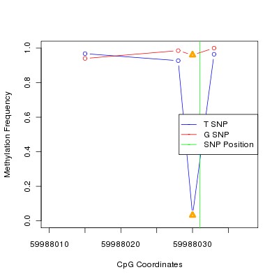 Allele Specific Methylation Frequency Diagram for chr20 59988031 SNP.