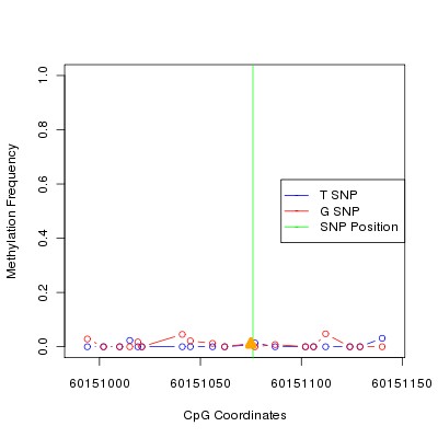 Allele Specific Methylation Frequency Diagram for chr20 60151076 SNP.