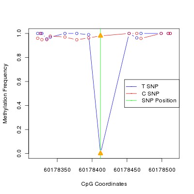 Allele Specific Methylation Frequency Diagram for chr20 60178412 SNP.