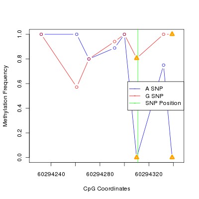 Allele Specific Methylation Frequency Diagram for chr20 60294311 SNP.