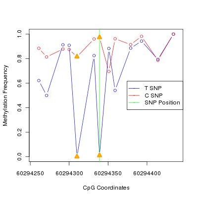 Allele Specific Methylation Frequency Diagram for chr20 60294339 SNP.
