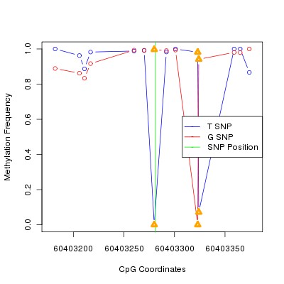 Allele Specific Methylation Frequency Diagram for chr20 60403281 SNP.