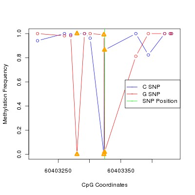 Allele Specific Methylation Frequency Diagram for chr20 60403324 SNP.